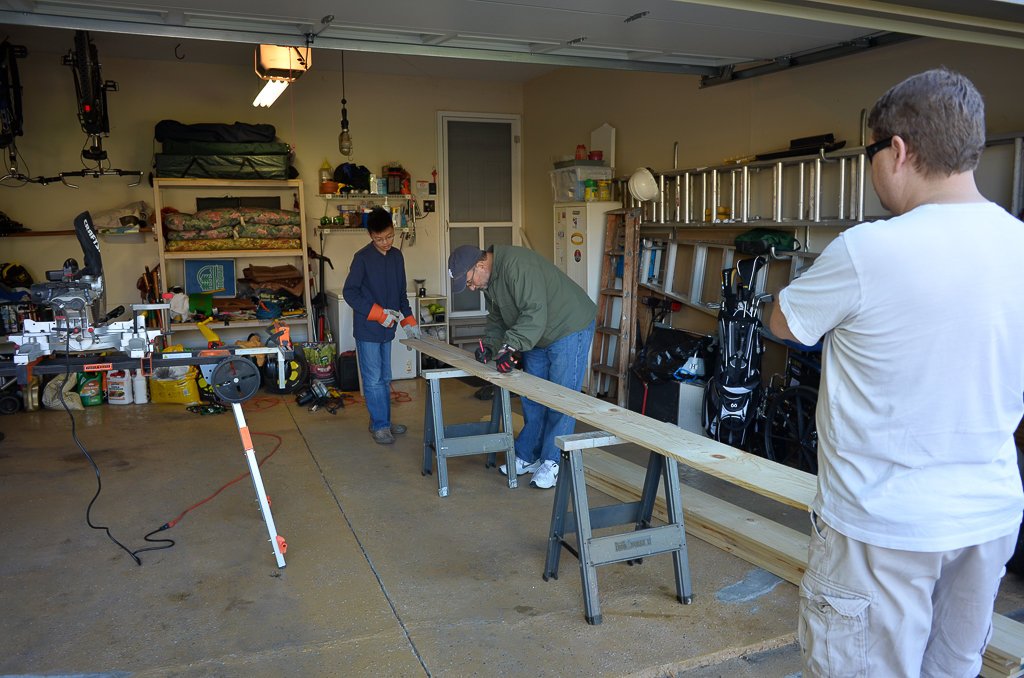 eugene-eagle-project-5-20161008