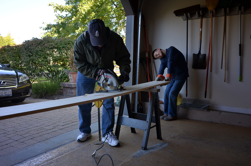 eugene-eagle-project-6-20161008