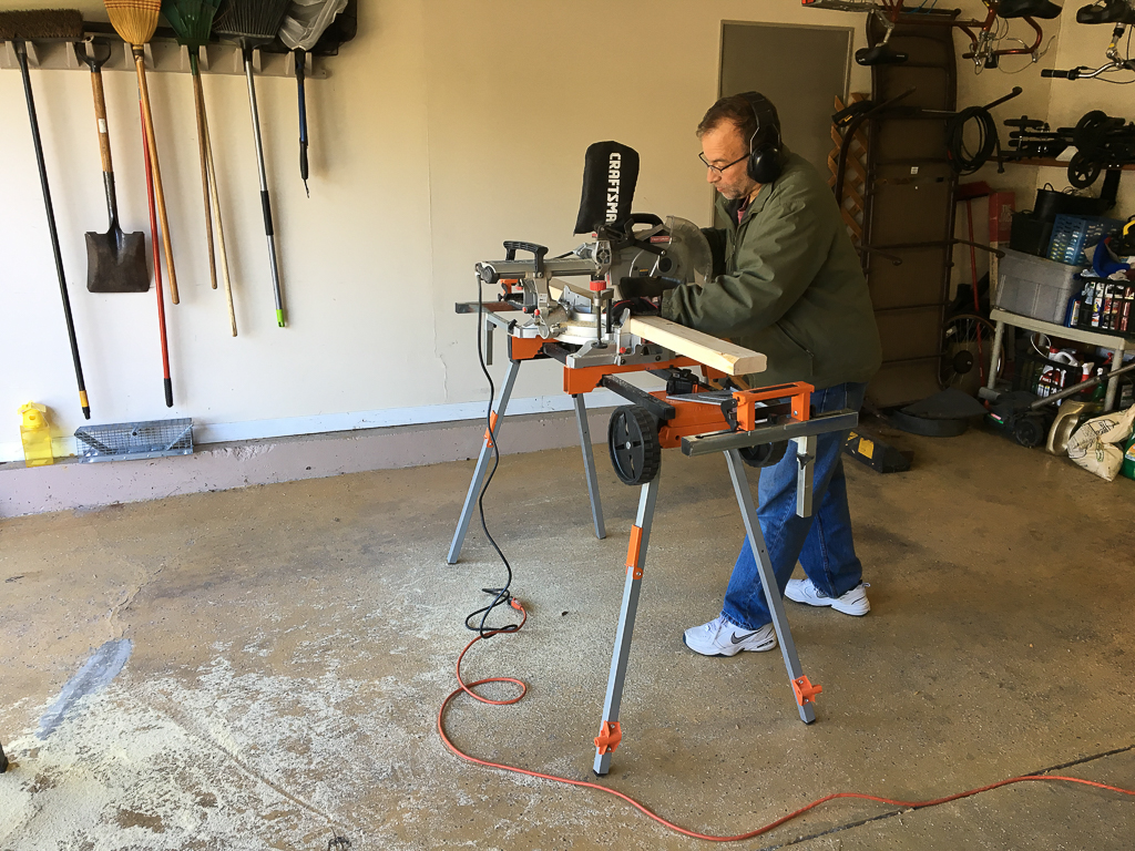 eugene-eagle-project-7-20161008